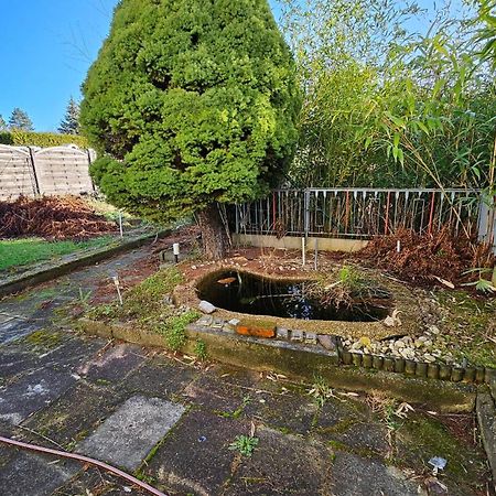 Haus Mit Garten Halle  Exteriör bild